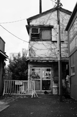 黒猫の店番