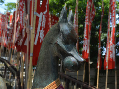 One of Defense foxes of Inari Shrine0165
