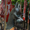 One of Defense foxes of Inari Shrine0165