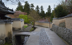 a street in Nara