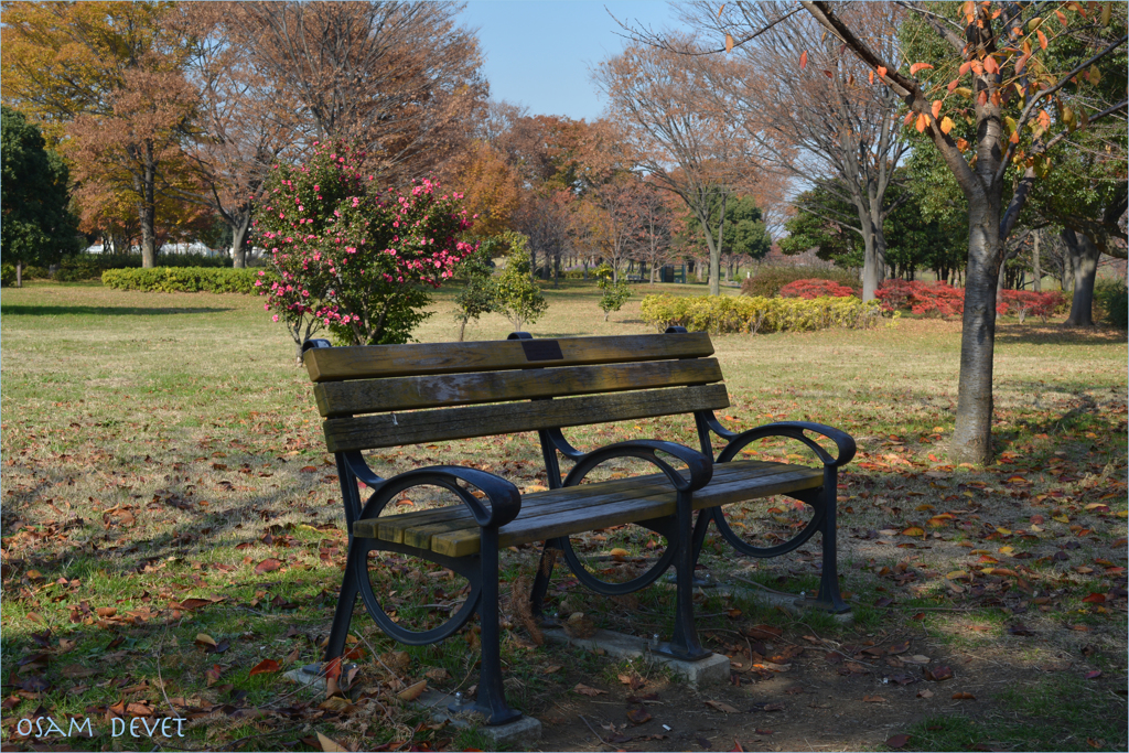 舎人公園
