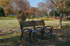 舎人公園
