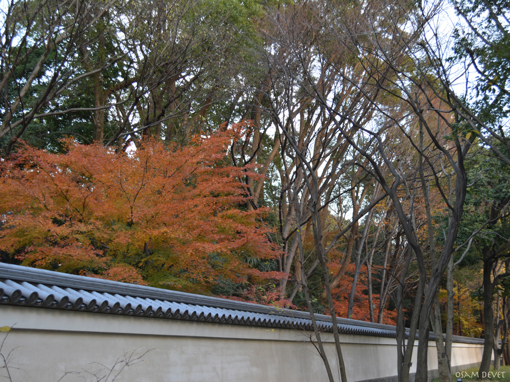 Long fence01