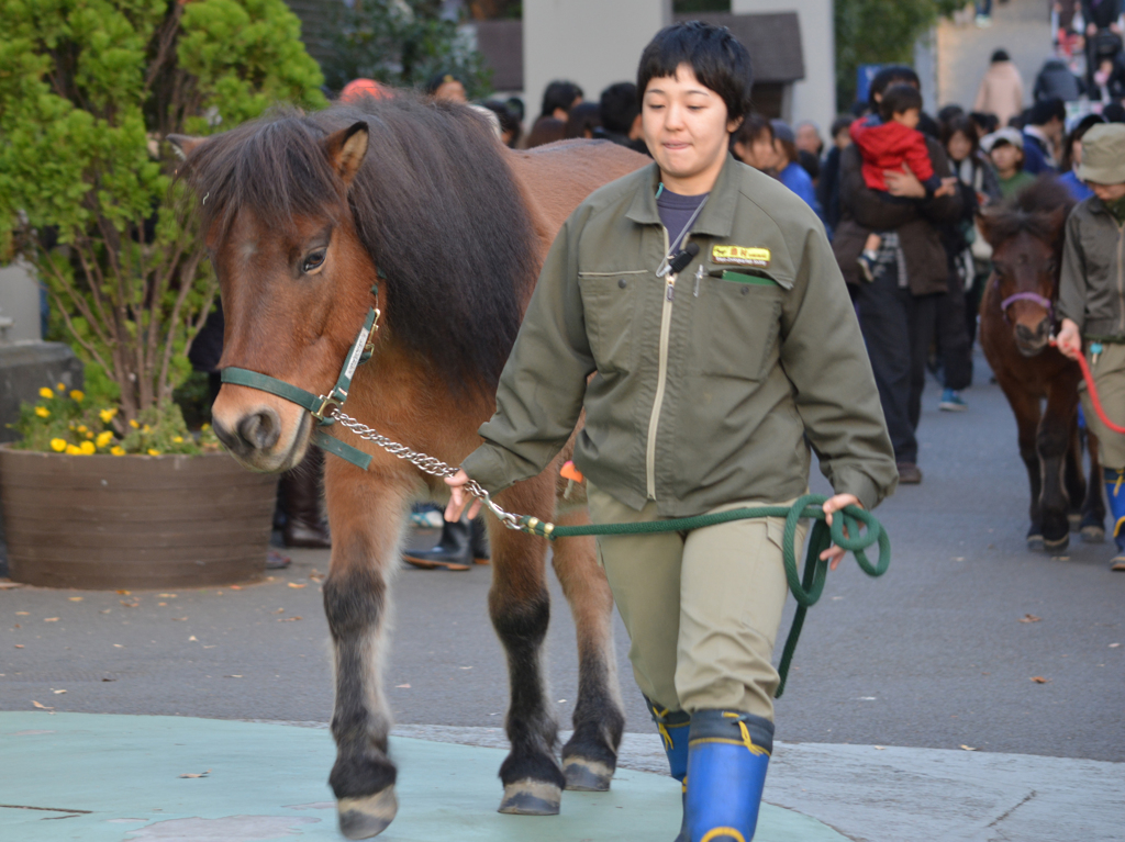 The return to a breeding building