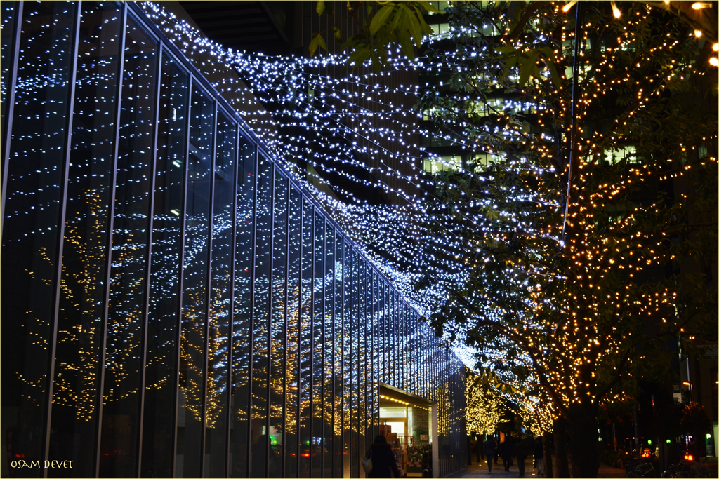 AKIHABARA  illumination
