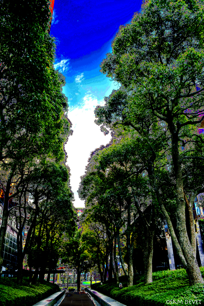 Green Path
