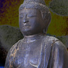  Yakushi; the healing Buddha0034