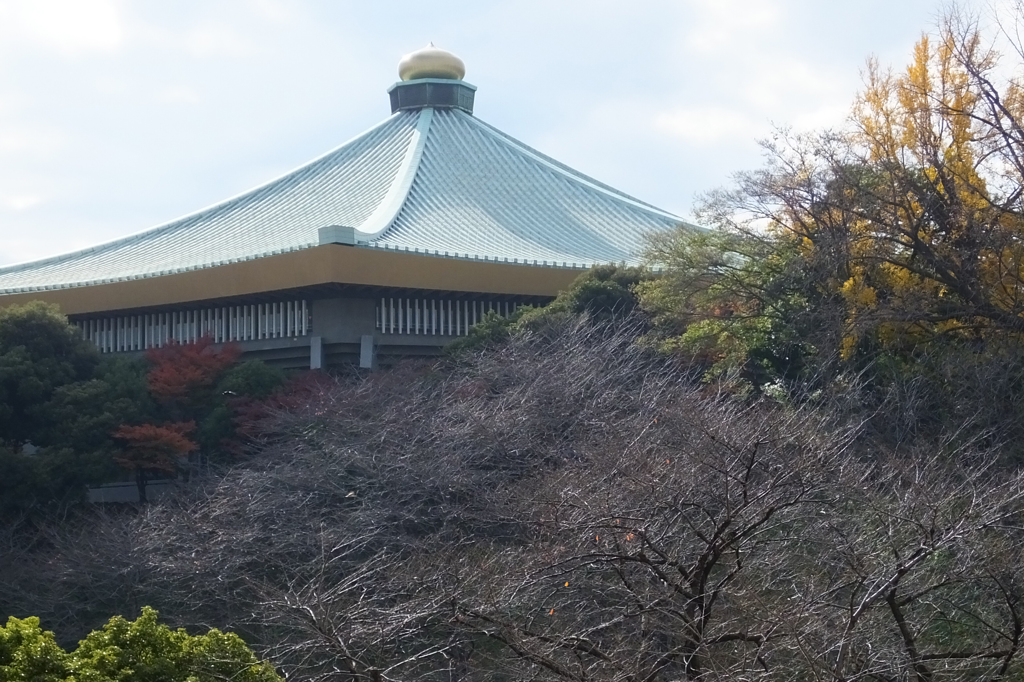 The roof like a Mt.Fuji