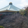 The roof like a Mt.Fuji