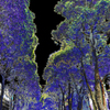 Purple Path