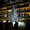 White tree KITTE-BUILDING