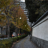 Long fence03