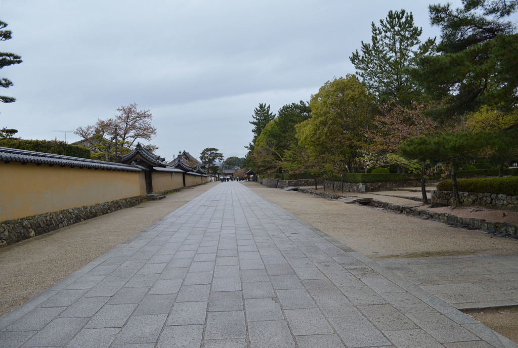 an approach to a temple in Nara