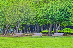 DSC00500