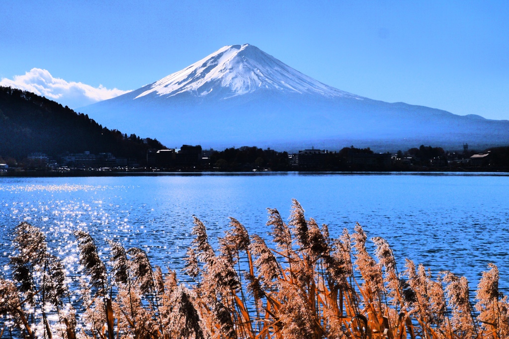 湖畔の富士山