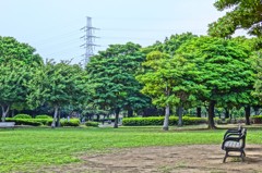 DSC00495