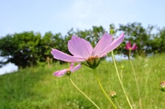 DSC00447