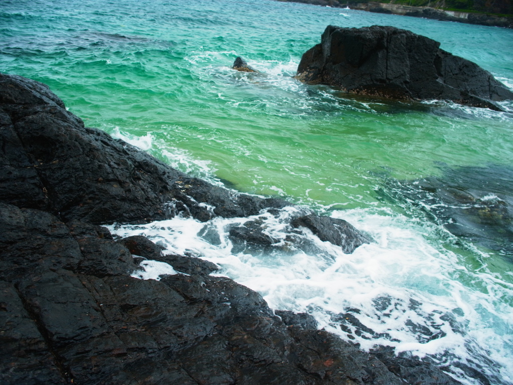 yakushima_4