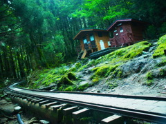 yakushima_2