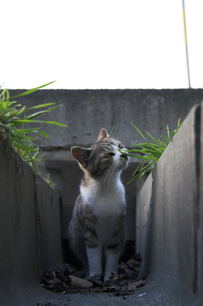 同じ生きかた