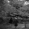 歩む道。