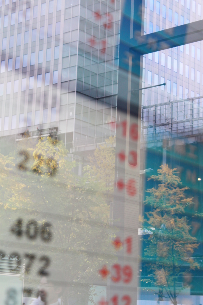 株価の中の紅葉
