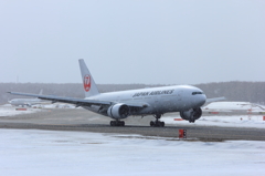 晩秋の吹雪に吹かれて