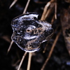氷の華