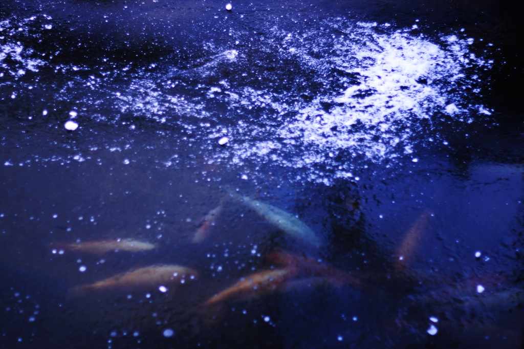 白銀の下で恋してる