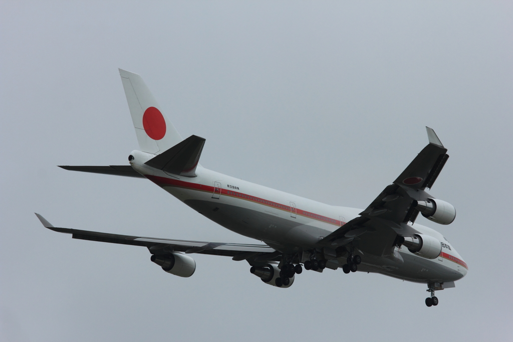 シグナス