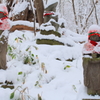 埋雪