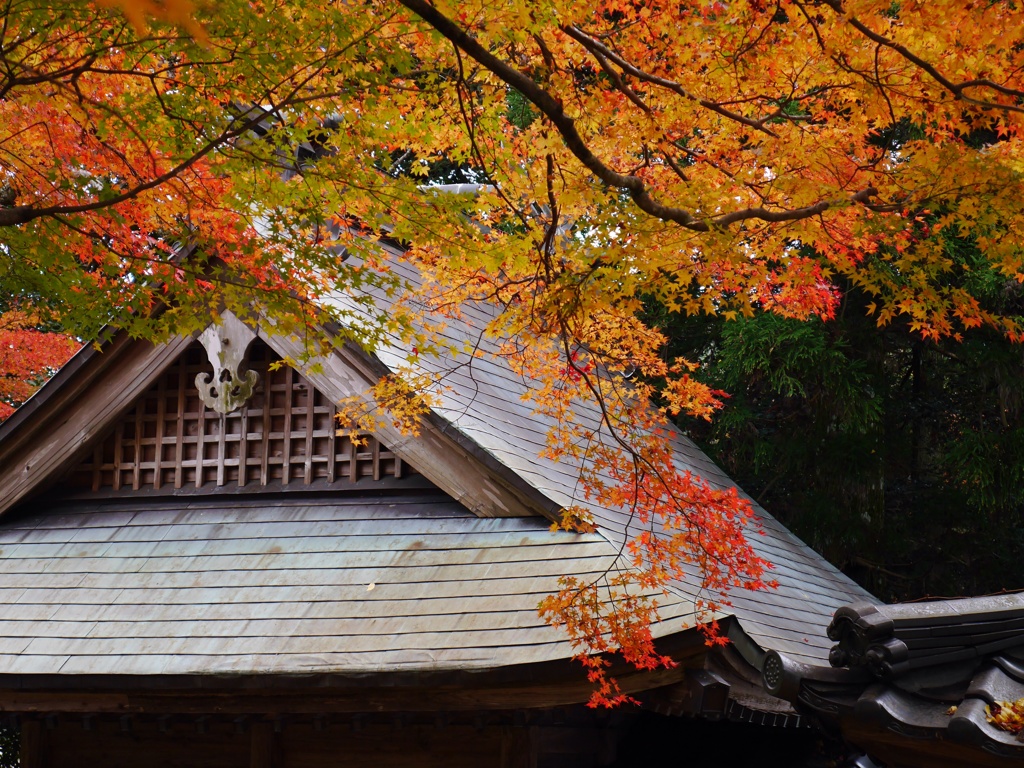 神社の紅葉