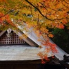 神社の紅葉