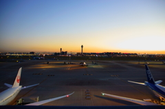 朝の羽田空港
