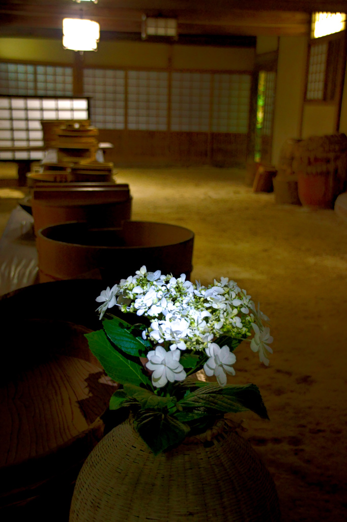 静かな花