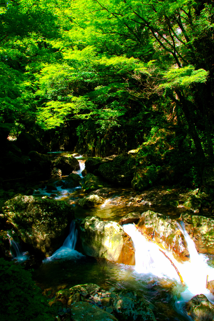 藤枝・不動峡の風景