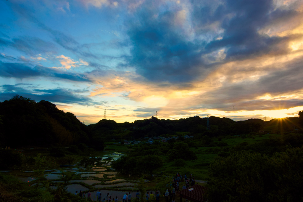 夕暮れどきの棚田