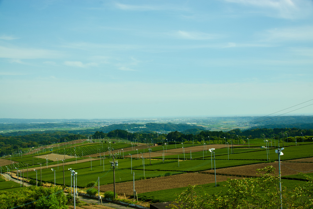 磐田・虫生（むしゅう）の風景