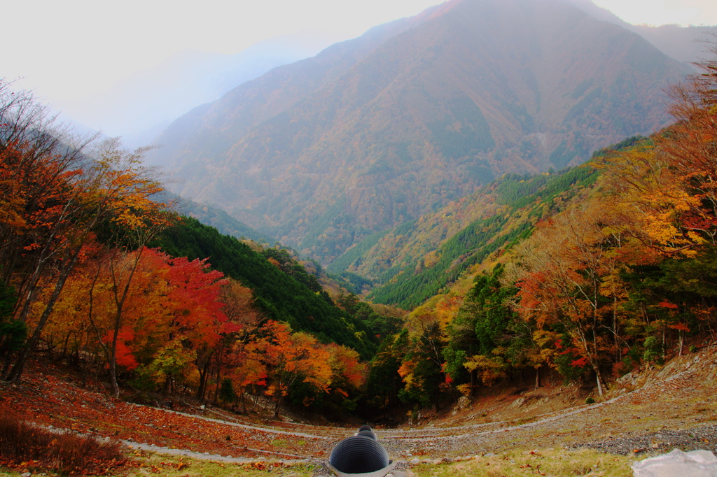 覗き込む場所