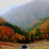 覗き込む場所
