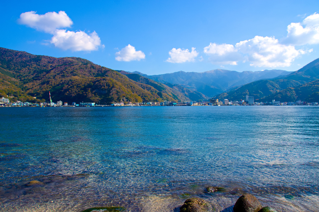 戸田港の海