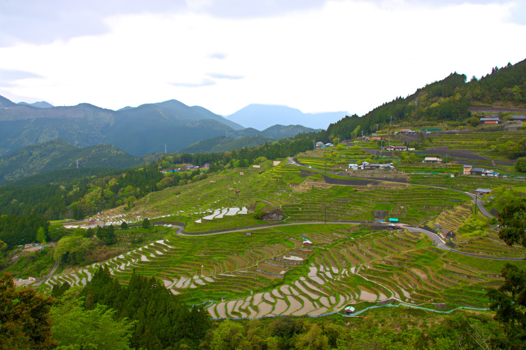 丸山千枚田
