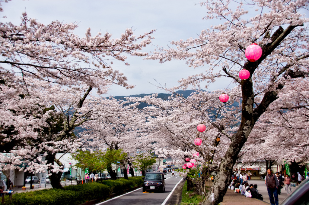 桜トンネル
