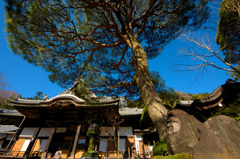 修善寺の石像