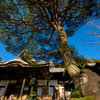 修善寺の石像