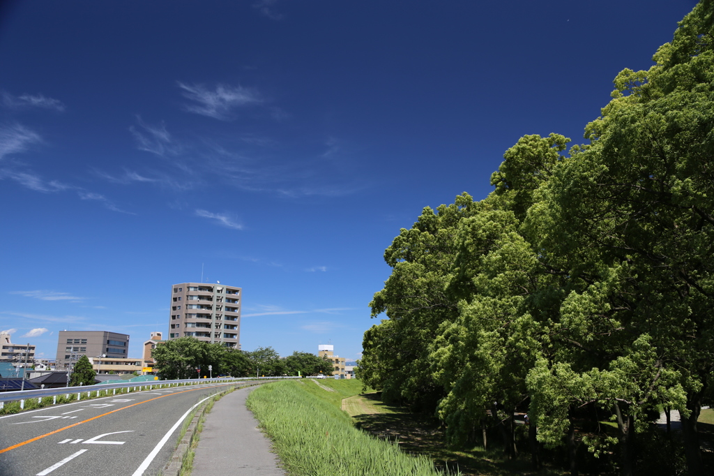 初夏、堤防からの眺め