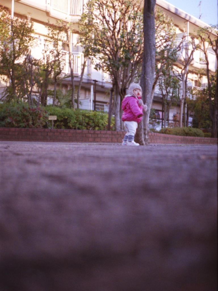 公園