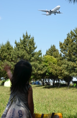 手振