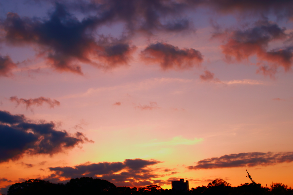 夕焼け