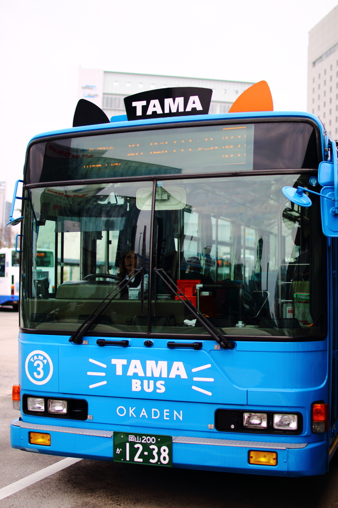 TAMA　BUS